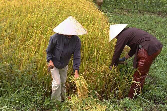 Private Cycling Tour in Rural Hue with Farming Experience - Price and Value