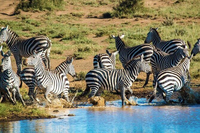 Private Day Tour Amboseli National Park, View Mt. Kilimanjaro 4*4 - FAQs
