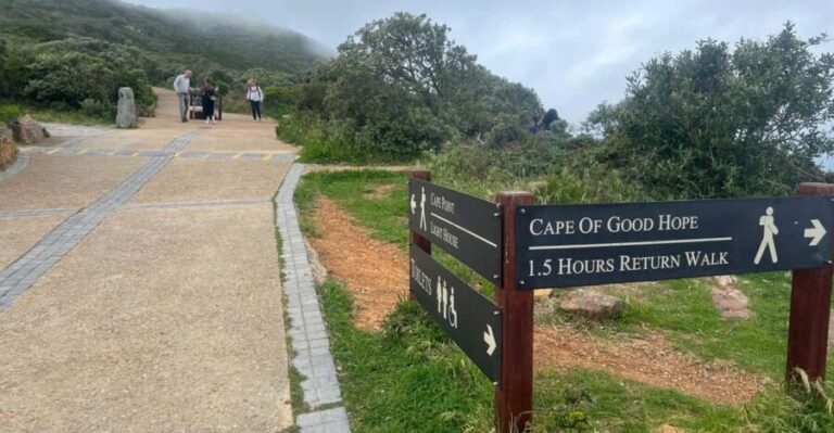 Private Day Tour Cape Point, Cape Of Good Hope & Penguins - Itinerary Breakdown: What Makes Each Stop Special