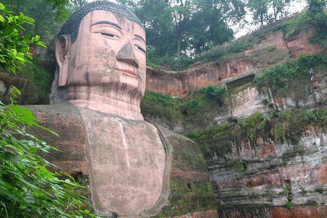 Private Day Tour: Chengdu Panda and Leshan Buddha - The Experience: Pros and Cons