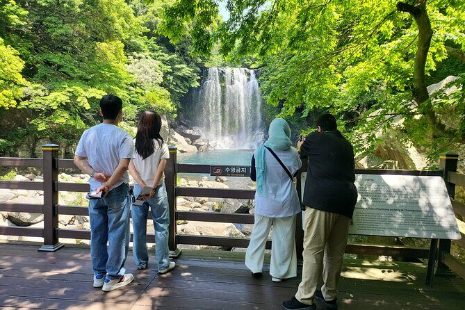 Private Day tour East & south & west of All area in jeju island - The Practical Side: Transportation & Value