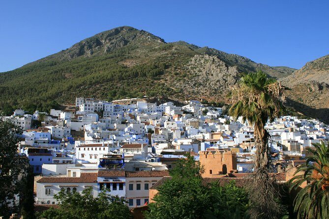 Private Day Tour from Fez to Chefchaouen - The Value: Is It Worth the Price?