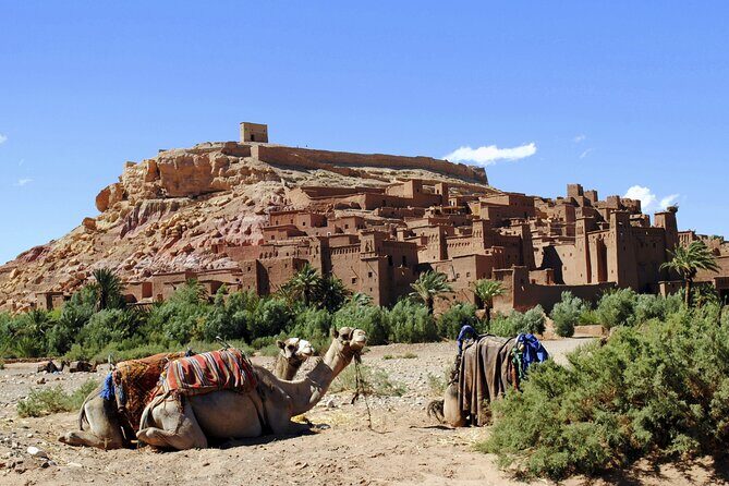 Private Day tour From Marrakech to Ouarzazate and Ait Ben Haddou - Who Will Appreciate This Tour?