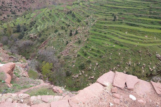 Private Day Tour from Marrakech To Ourika Valley and Atlas Mountain - Why This Tour Offers Great Value