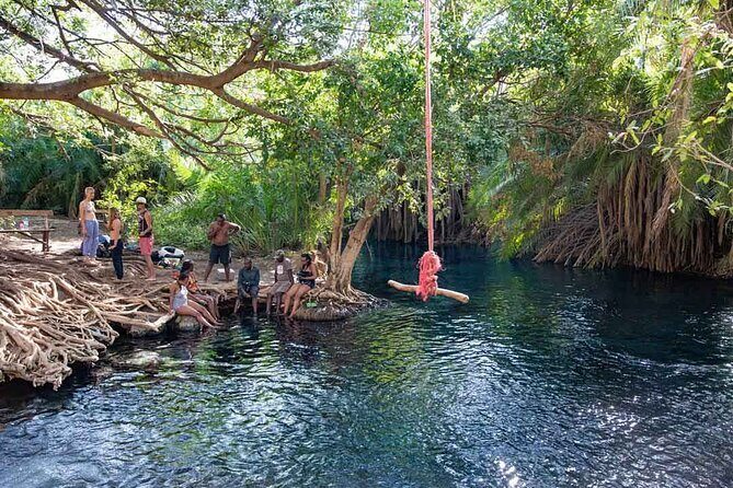 Private Day Tour in Serval Wildlife and Kikuletwa Hot Spring - What Travelers Say: Authentic Perspectives