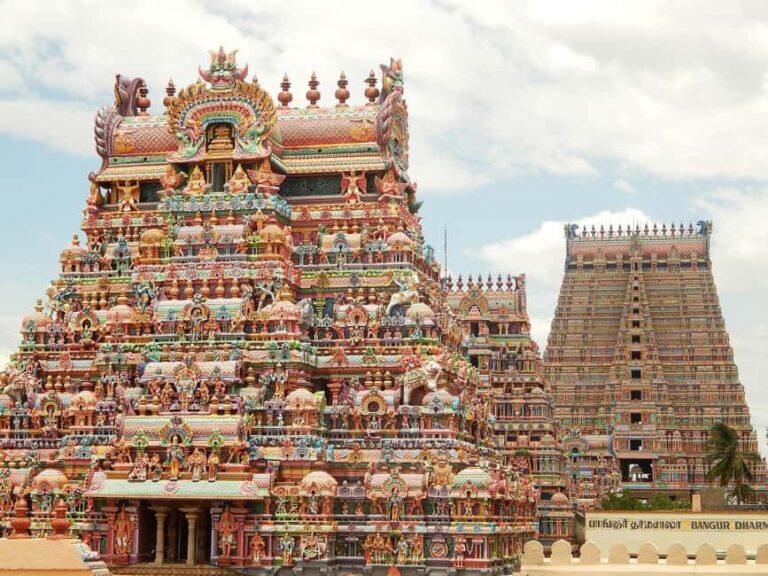 Private Day Tour: Pondicherry to Tanjore, Trichy & Madurai - The Practicalities: What You Can Expect