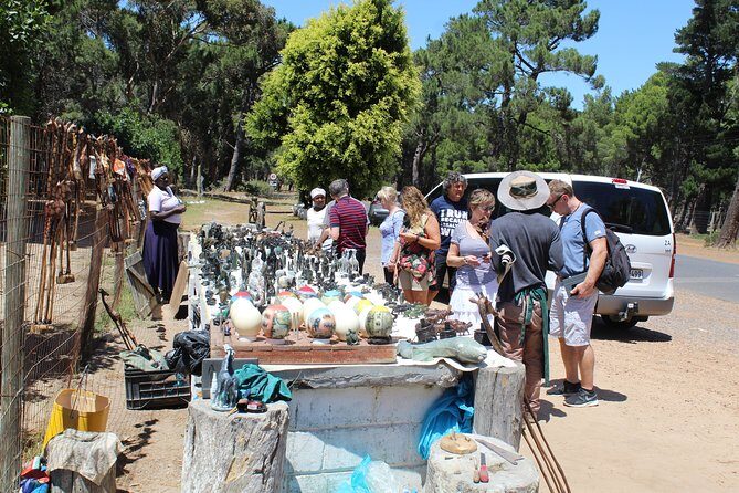 Private Day Tour to Cape of Good Hope Penguins Inc Entry Tickets from Cape Town - The Practical Side: What to Expect and Consider