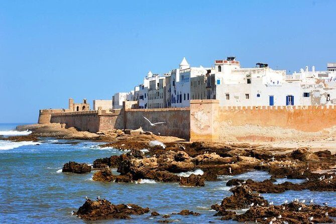 Private day tour to Essaouira from Marrakech - Free Time and Personal Exploration