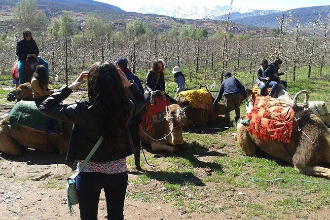 Private Day Trip from Marrakech: Camel Ride and Hike in the High Atlas Mountains - Who Will Love This Trip?