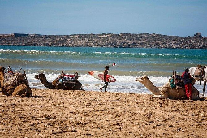 Private day trip from Marrakech to Essaouira - Why Choose This Private Day Trip to Essaouira?