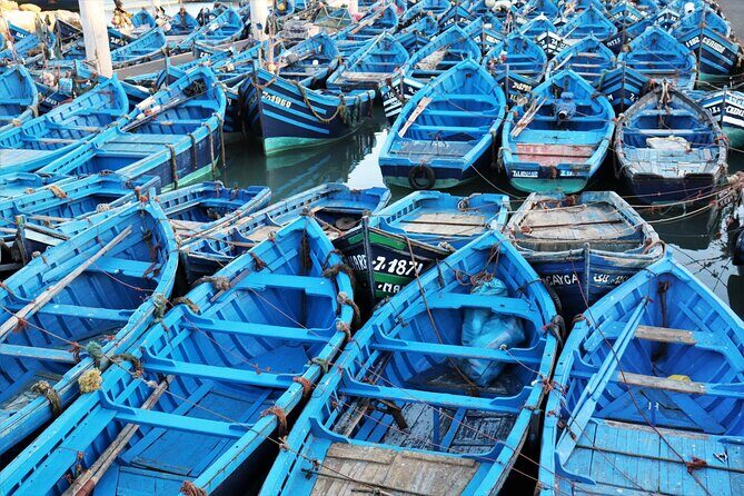 Private Day Trip From Marrakech To Essaouira - Analyzing the Value