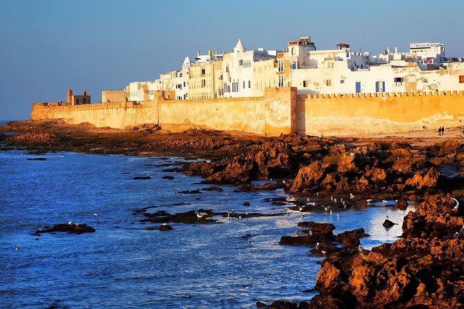 Private Day Trip from Marrakech to Essaouira City - What Makes This Tour Stand Out?