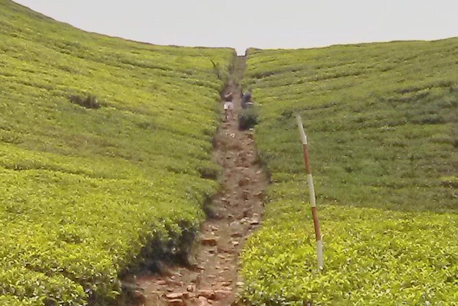 Private Day trip Kandy & pinnawala with your selected attractions - The Experience: Balancing Value and Authenticity