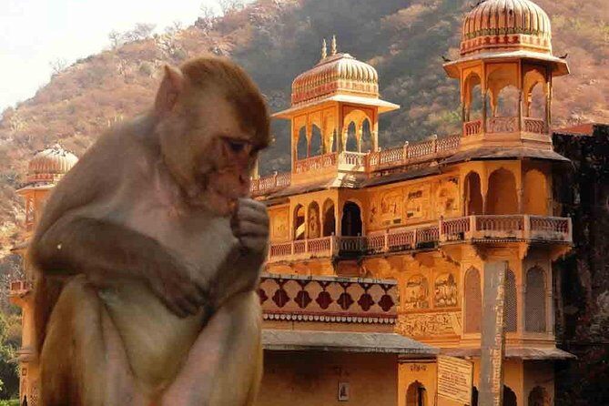 Private Day Trip to Abhaneri Stepwell & Monkey Temple from Jaipur - The Logistics: What You Can Expect