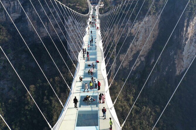Private Day Trip to Avatar Mountain & Glass Bridge with Lunch - Practical Details and Considerations