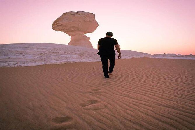 Private Day Trip To Bahariya Oasis with Black Sahara from Cairo - A Closer Look at the Itinerary