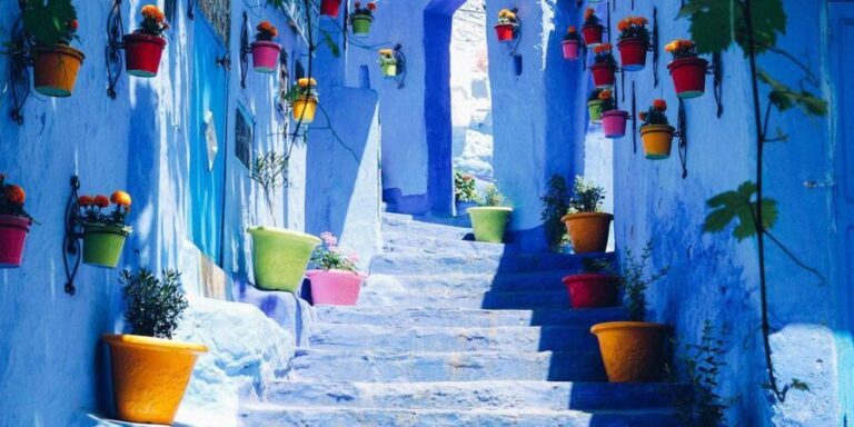Private Day Trip to Chefchaouen from Fez - What Makes This Tour Stand Out?