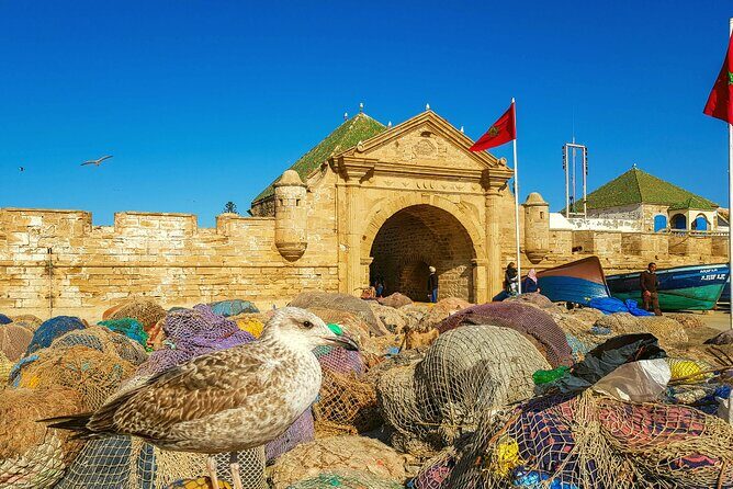 Private Day Trip to Essaouira and Argan Forest from Marrakech - What the Tour Includes and Excludes