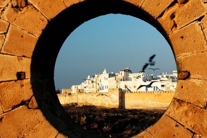 Private Day Trip to Essaouira from Marrakech - Detailed Breakdown of the Tour
