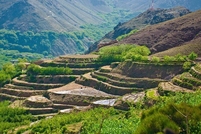 Private : Day trip to Imlil Atlas Mountains from Marrakech - What Makes This Trip Stand Out