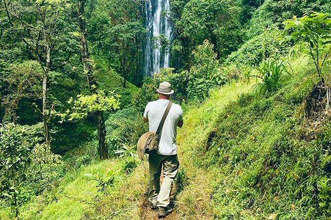 Private Day Trip to Materuni Waterfall and Coffee Tour - The Hike to the Waterfall – Nature’s Showstopper