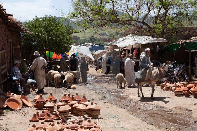 Private day trip to Ourika valley and Atlas Mountains - Practical Details & Considerations