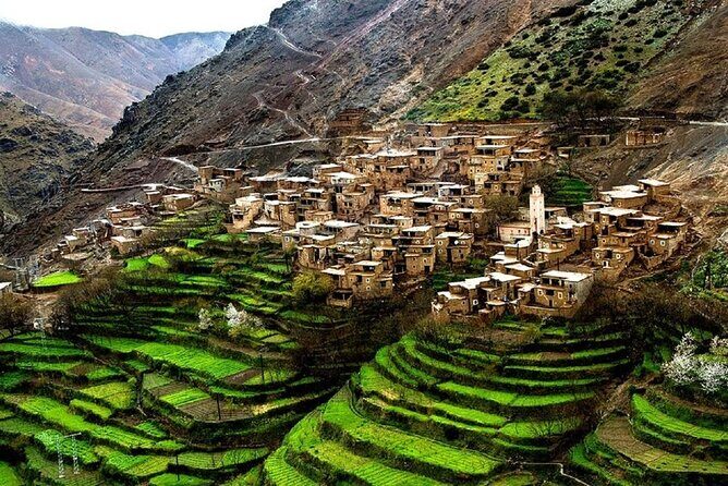 Private : Day trip to Ourika valley Atlas mountains - What You Can Expect on the Itinerary