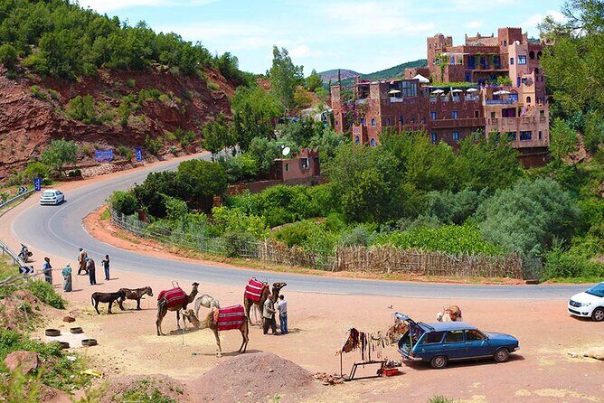 Private Day Trip to Ourika Valley from Marrakech with Lunch - The Experience’s Strengths and Considerations