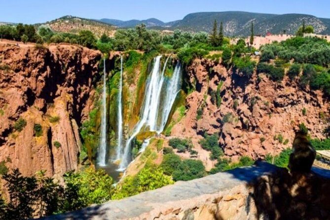 Private day trip to Ouzoud Waterfalls from Marrakech - The Guides and Their Role