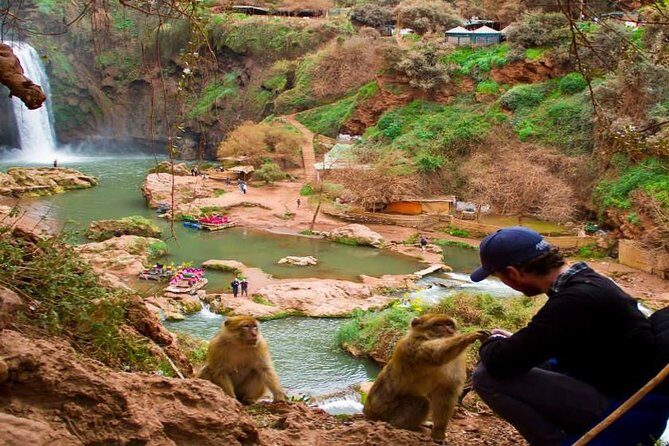 private day trip To Ouzoud watterfalls - Transportation & Group Dynamics