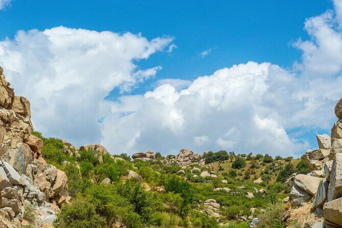 Private Day Trip to Shakhrisabz from Samarkand - Who Should Book This Tour?