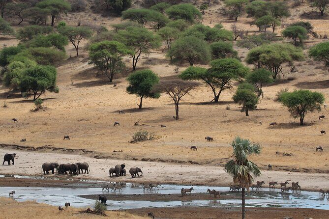 Private Day Trip to Tarangire National Park - Wildlife and Landscape: What You’ll See