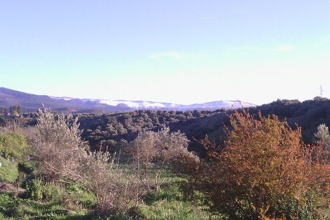 Private Day Trip to The Atlas Mountains from Fez - A Closer Look at the Itinerary