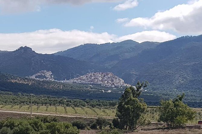 Private Day Trip to Volubilis, Moulay Idriss, and Meknes from Fez (Fes) - Who Should Consider This Tour?