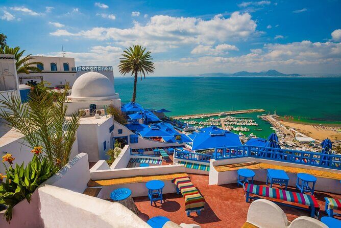 Private Day Trip Tunis Carthage Sidi Bou Said - Practical Considerations