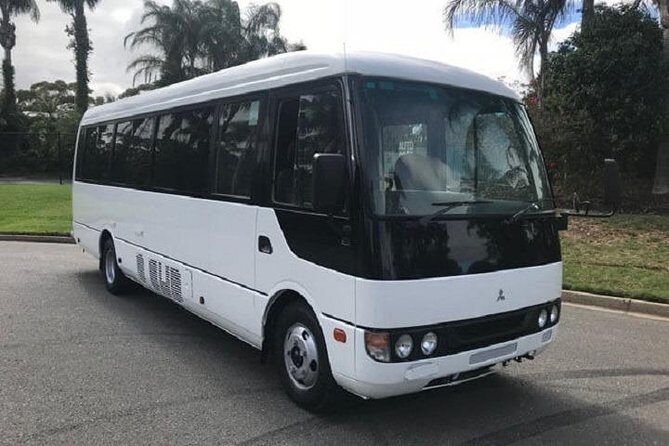 Private Departure Transfer From Singapore Hotel to Airport or Port - Vehicle Options and Capacity