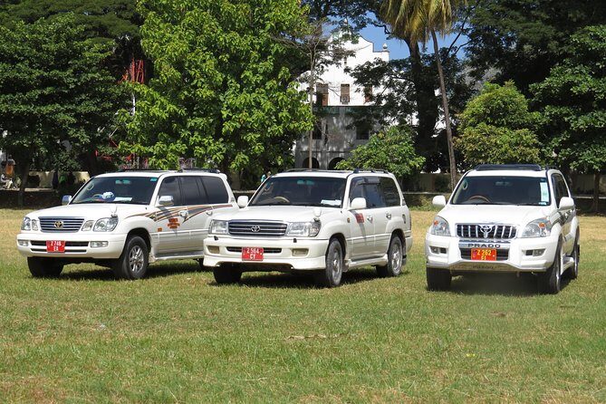 Private Departure Transfer in Zanzibar - Final Thoughts: Is This Transfer Right for You?