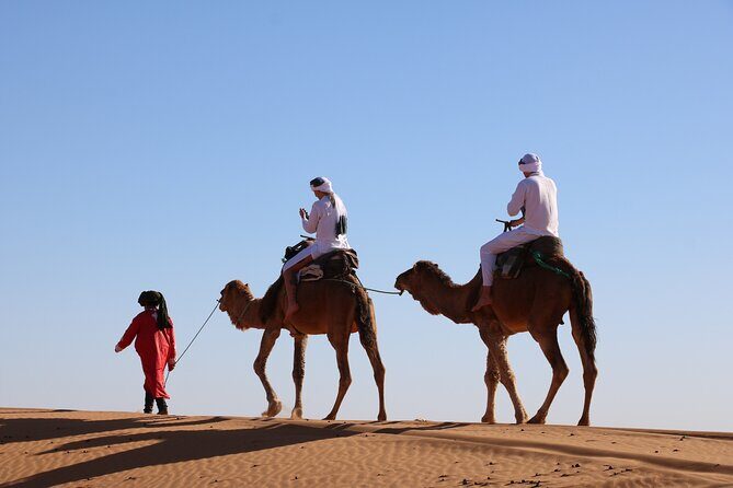 Private Desert Tour To Draa Valley And Zagora From Marrakech - Authentic Experiences and Practical Considerations