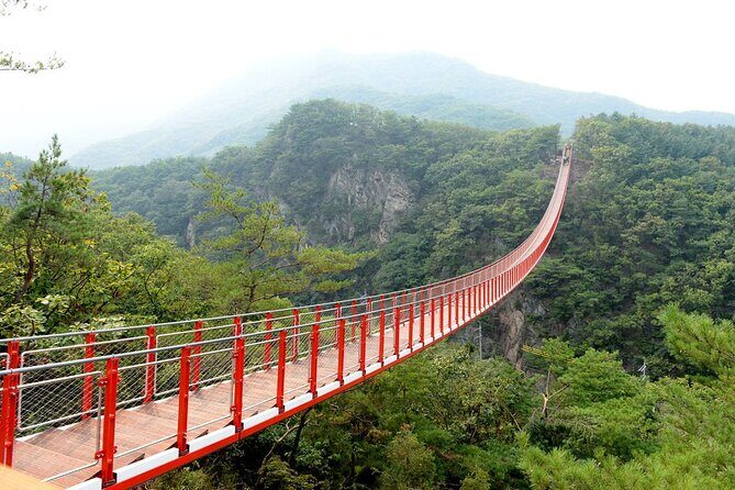 Private DMZ Peace Tour: 3rd Invasion Tunnel and Suspension Bridge - Who Is This Tour Best For?