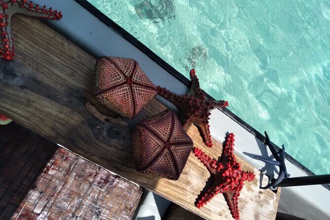 Private Dolphin Tour and Snorkeling at Mnemba Island reef - Who Should Consider This Tour?