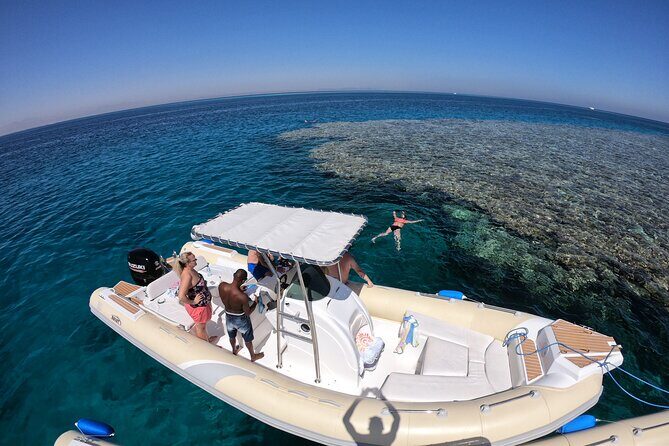 Private Dolphin Watching And Snorkeling Tour - Searching for Dolphins