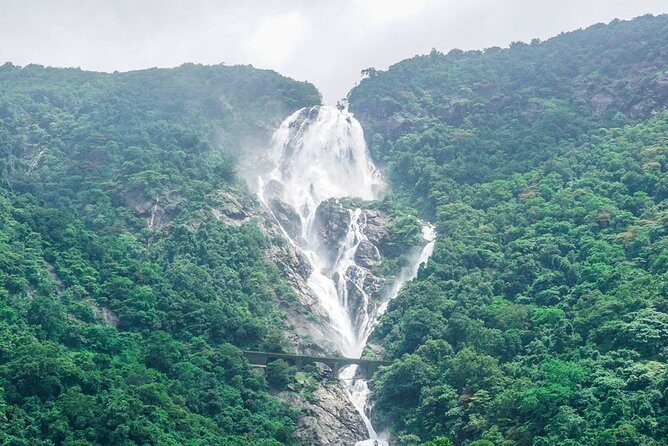 Private Dudhsagar waterfalls & Spice Plantation with Lunch from Mormugao Port - An In-Depth Look at the Tour