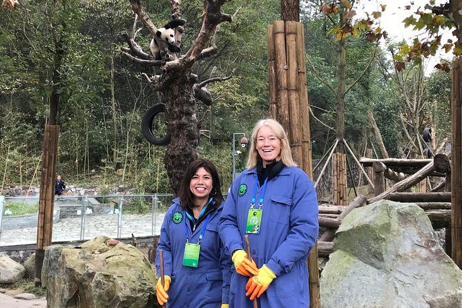 Private Dujiangyan Panda Base Panda Rescue Center Volunteer for a Day - Transportation and Logistics