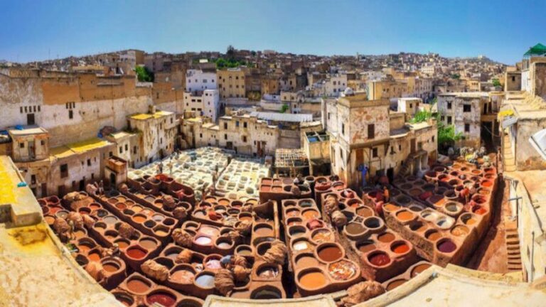 Private Exclusive Full day Fes Medina Tour with Guide - Who Will Love This Tour?