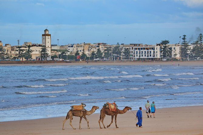Private excursion to Essaouira, departure from Marrakech - Authentic Experiences and Unique Highlights