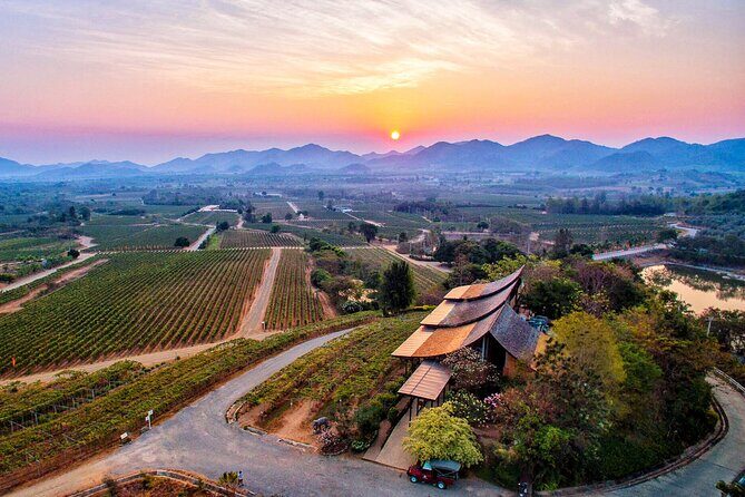 Private Experience of Wine Tasting Hua Hin in Monsoon Valley - The Sum Up