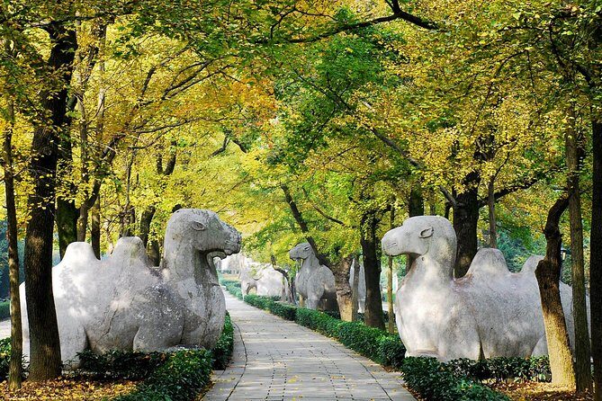 Private Flexible Nanjing City Day Trip from Shanghai by Bullet Train - Introduction: Why Choose This Nanjing Day Trip?