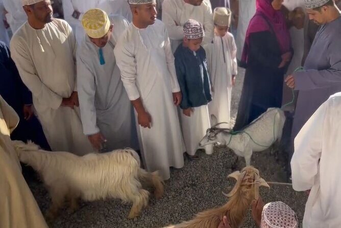 Private Friday Cattle Market-Nizwa and Jebel Akhdar-Full-Day Tour - The Sum Up