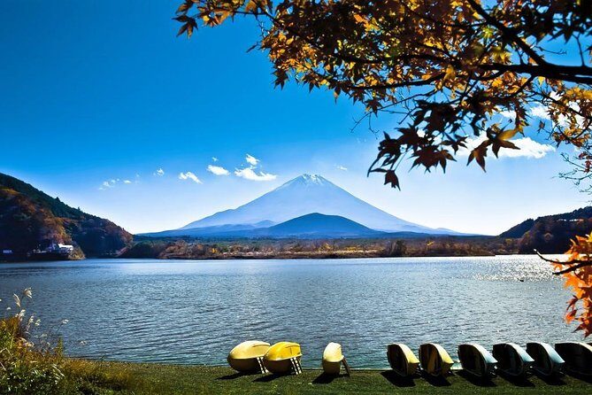 Private Fuji Hakone Tour Charter with English Speaking Driver - What Travelers Are Saying
