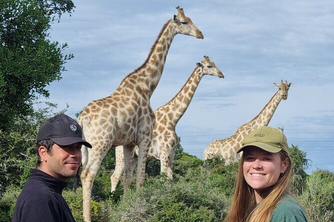 Private Full-Day Addo Elephant Park & Giraffe Walk - Practical Details: Transport, Timing, and Comfort